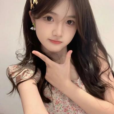 神犬小七第二季